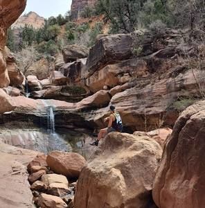 Meet your Posher, Ross